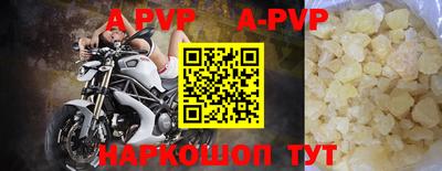 эйфоретик Малгобек