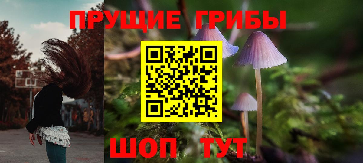Псилоцибиновые грибы ЛСД  Галлюциногенные грибы прущие грибы  Ялта  Вход с VPN 